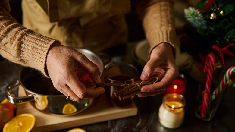 Woman holding cinnamon sticks