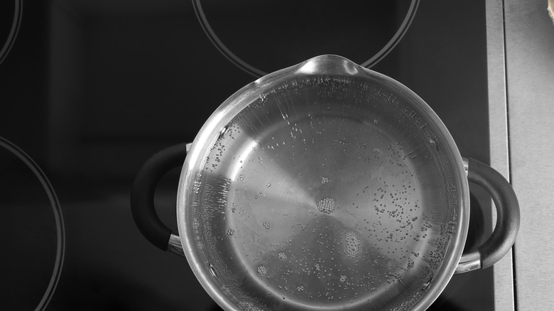 Pot of water on the hob