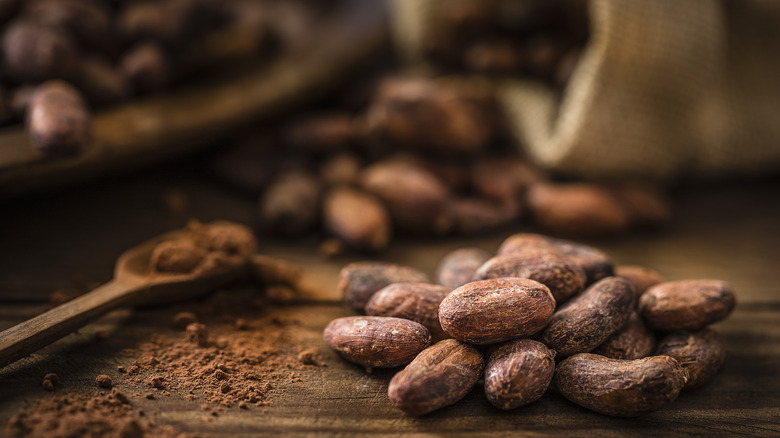 Cocoa beans and cocoa powder