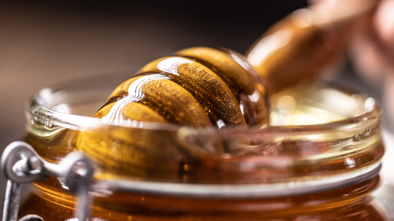 closeup of honey dipper dipping into jar of honey