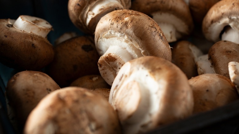 A close-up of crimini mushrooms