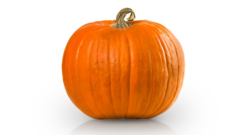 A large pumpkin on white background