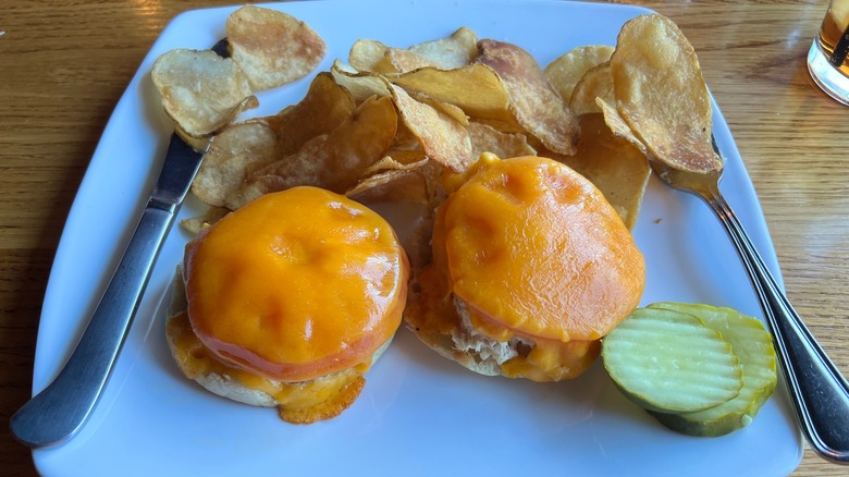 Tuna melt and potato chips