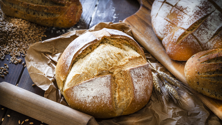 Fresh breads on parchment paper