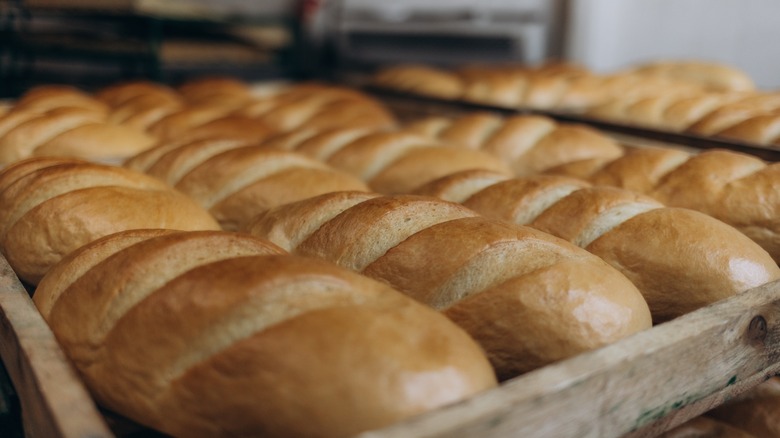 Loaves of bread on shelf