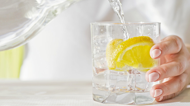 hand holding glass filled with water and two lemon slices