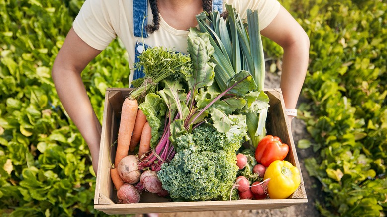 Tray of fresh vegetables