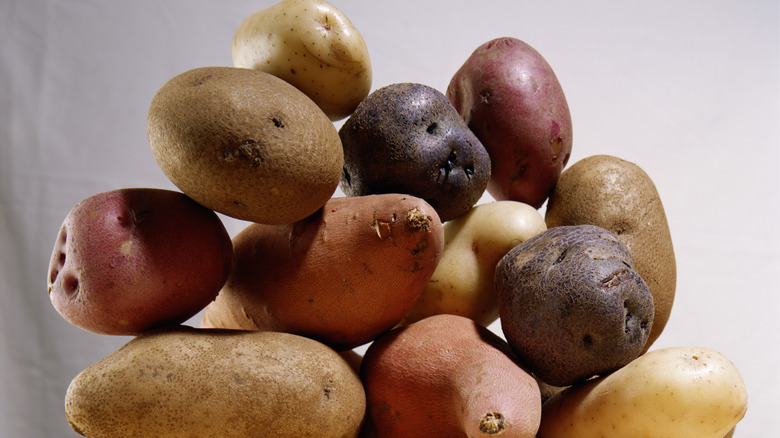 A pile of different kinds of potatoes