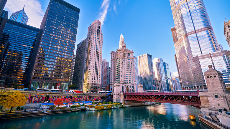 View of downtown Chicago from across the river