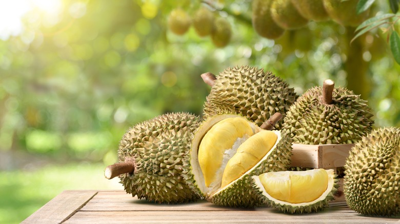 Whole and cut durians and durian trees