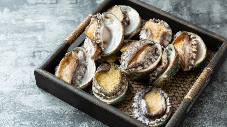 Fresh abalone on a tray