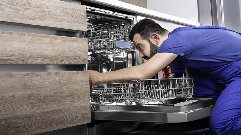 Person looking inside dishwasher