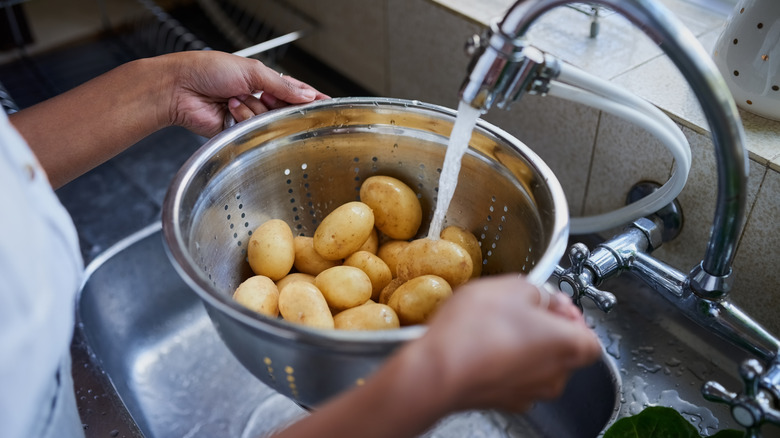 Woman washing potatoes