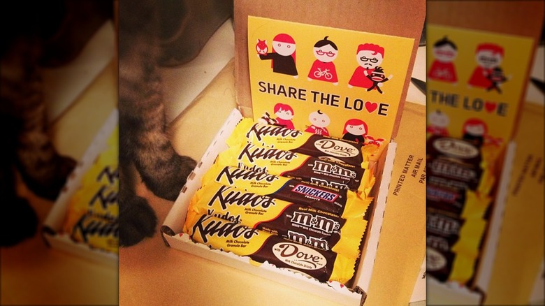 A box of assorted Kudos bars with a cat to the left