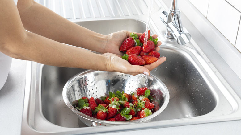 woman sink washing strawberries