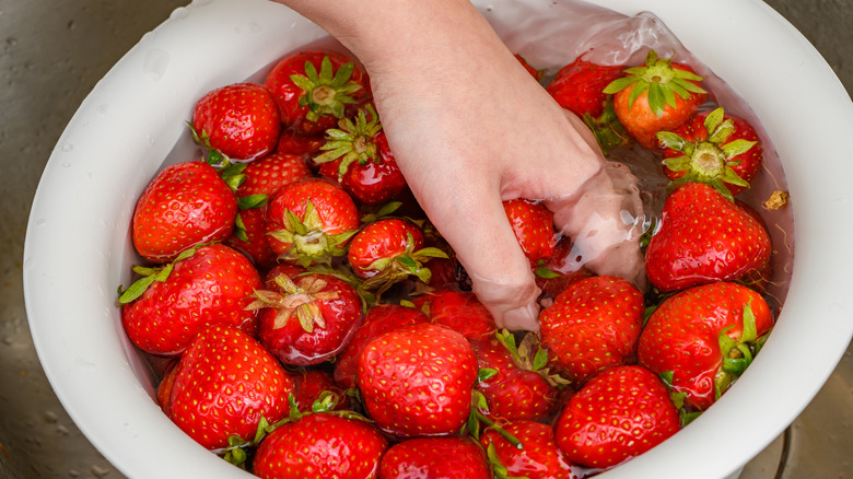 washing strawberries in vinegar water