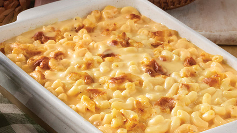 Macaroni and cheese casserole