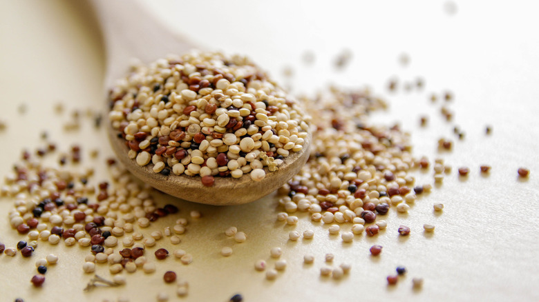 Spoon filled with quinoa