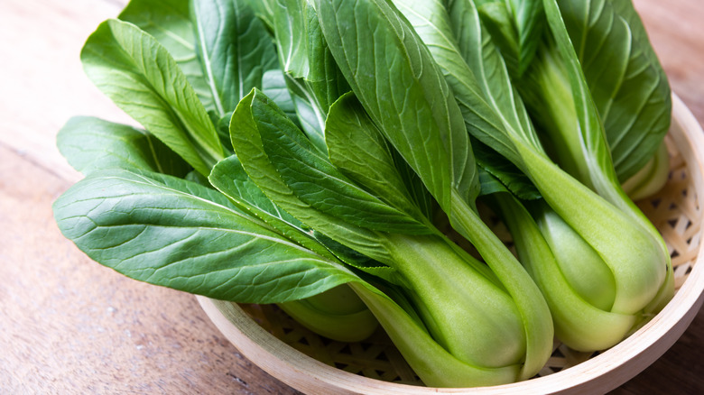 Raw bok choy plants in a bowl on a wooden table