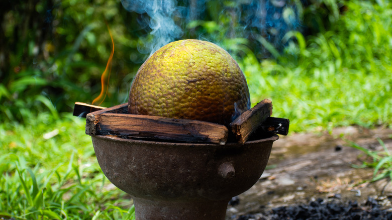 A whole breadfruit roasts over open coals and wood