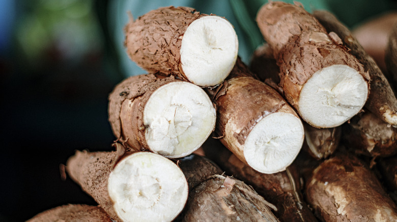 Raw yuca are stacked on display on a table