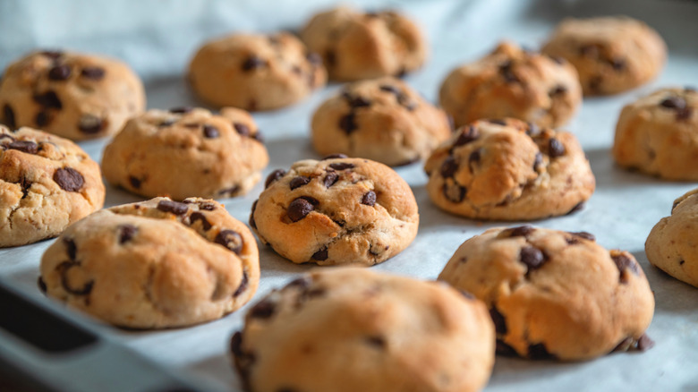 close up of a batch of chocolate cookies on a baking sheet