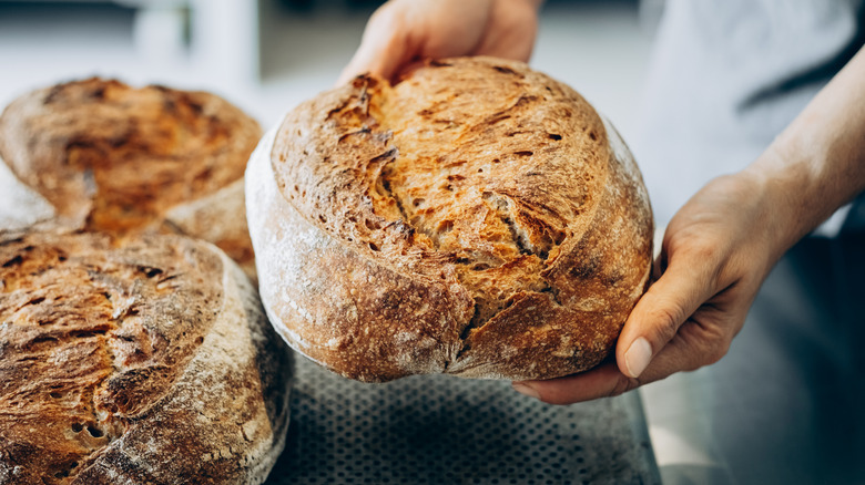 person's hands holding sourdough bread loaf with 2 other loaves in the background
