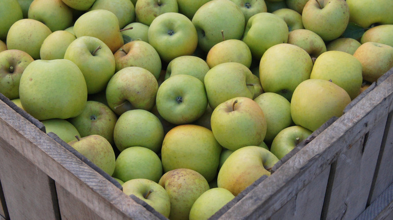 Mutsu apples in crate