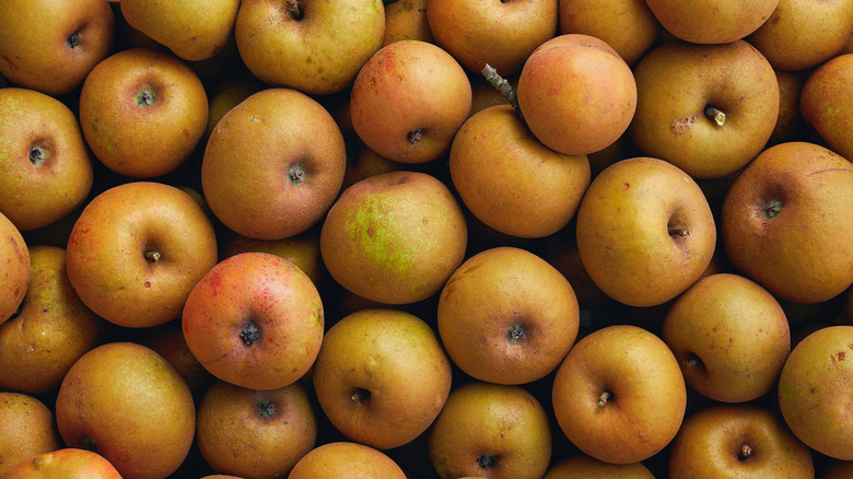 Reinette apples in a bunch