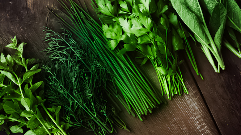 Selection of fresh herbs on wooden background