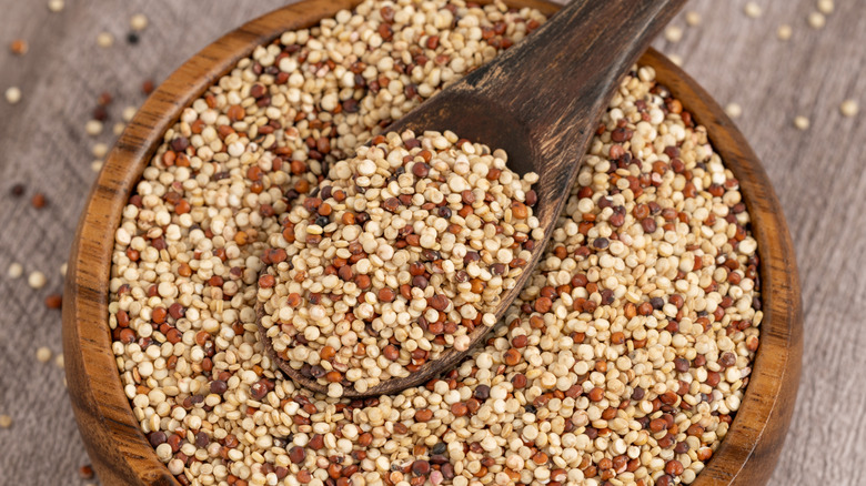 White, red, and black quinoa seeds in bowl