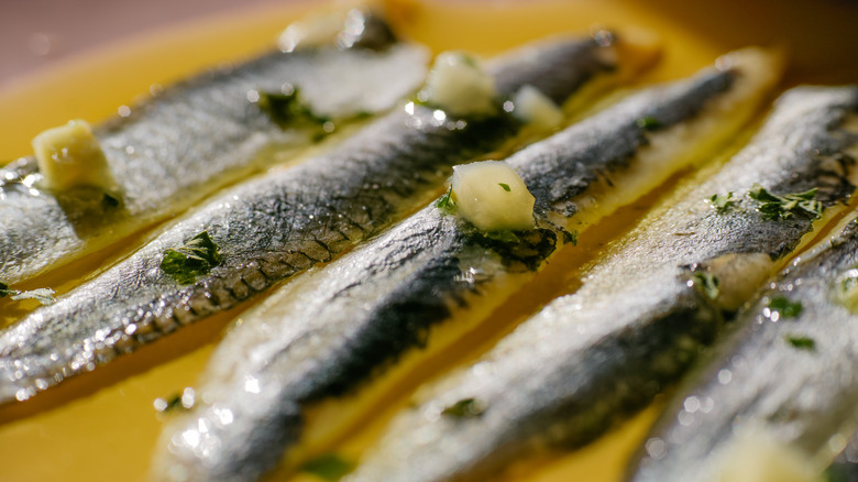 Anchovies in oil