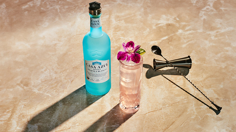 A hibiscus margarita cocktail garnished with mint