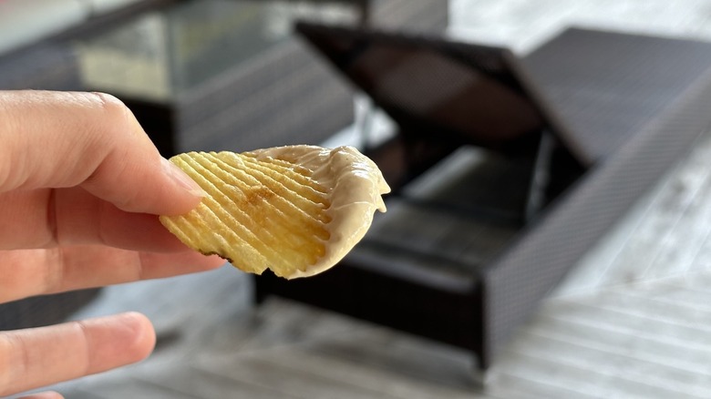 crinkle-cut potato chips dipped in kiwi dip