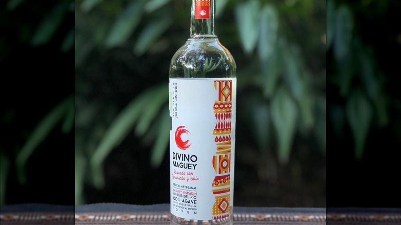 A bottle of Divino Maguey Espadín con Tamarindo mezcal with plants in the background