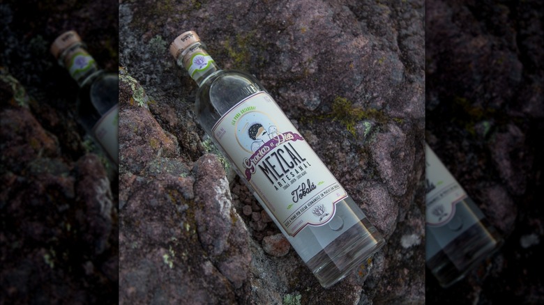 A bottle of Gracios a Dios Tobalá mezcal on a rock outdoors