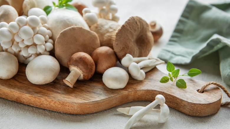 raw mushrooms on a wooden cutting board on counter