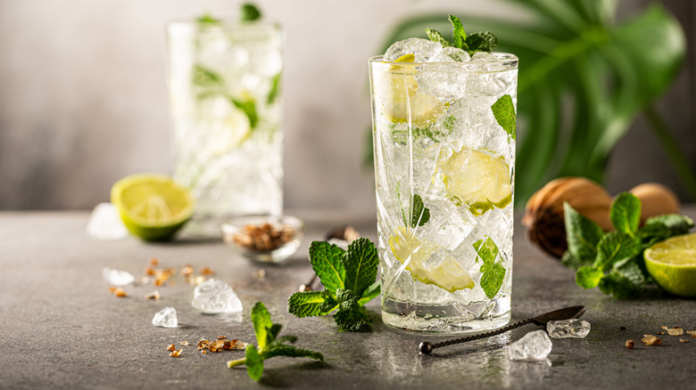 Two mojito cocktails in highball glasses with lime, soda, and mint