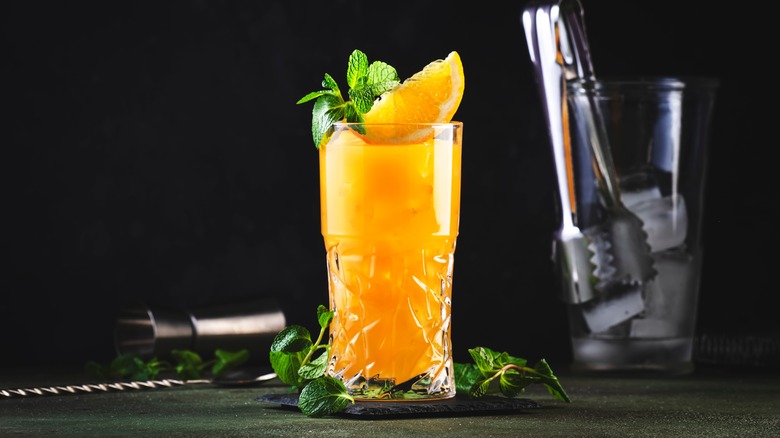 A Screwdriver cocktail garnished with a slice of orange and mint