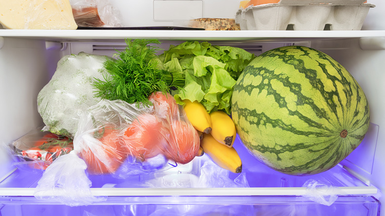 watermelon inside fridge on shelf