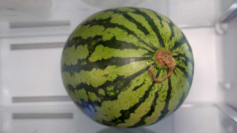 watermelon on empty fridge shelf