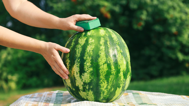 hands washing melon on table