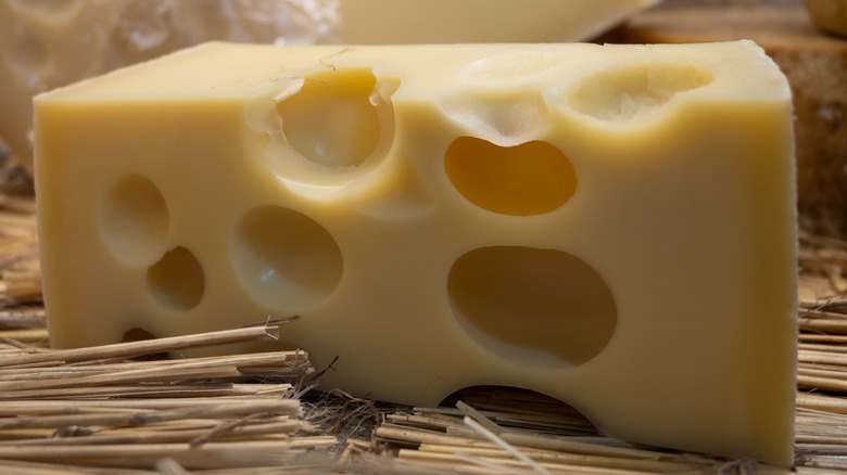 Emmentaler cheese with holes