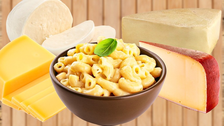 Macaroni surrounded by cheese