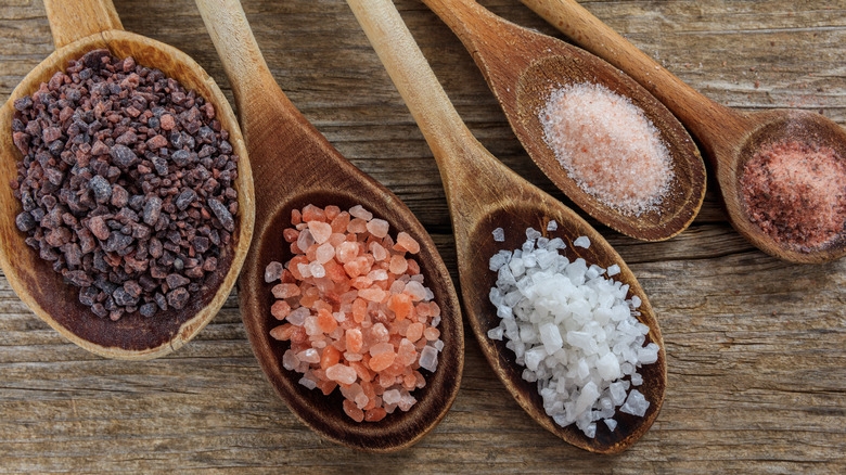 Different types of salt in wooden spoons