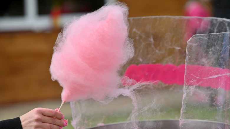 A person holding cotton candy on a stick