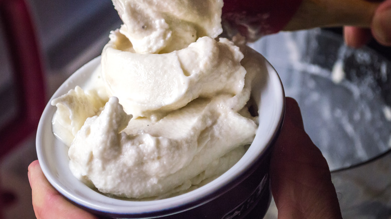 Homemade ice cream in bowl