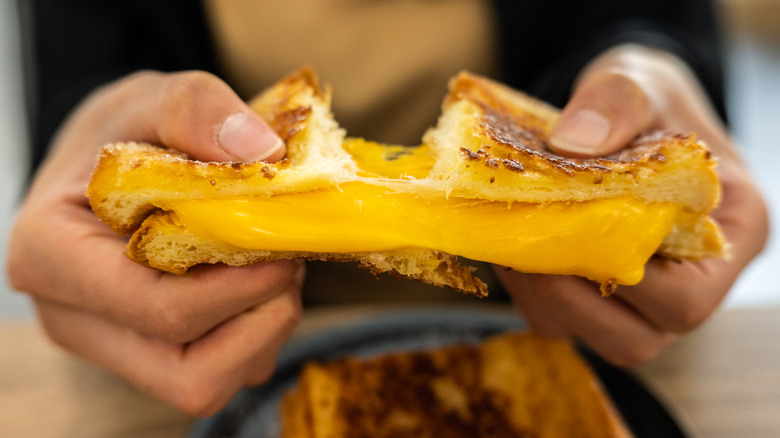 Two hands pulling a grilled cheese sandwich apart