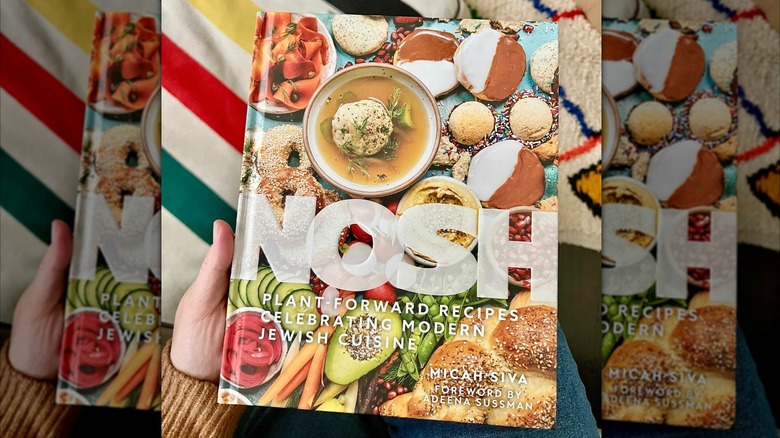 Hand holding Nosh cookbook