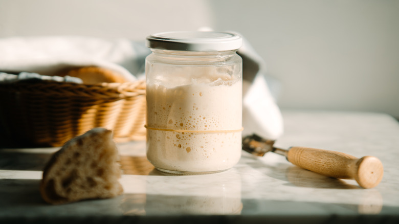 sourdough starter in glass jar